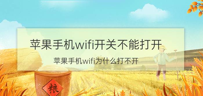 苹果手机wifi开关不能打开 苹果手机wifi为什么打不开？